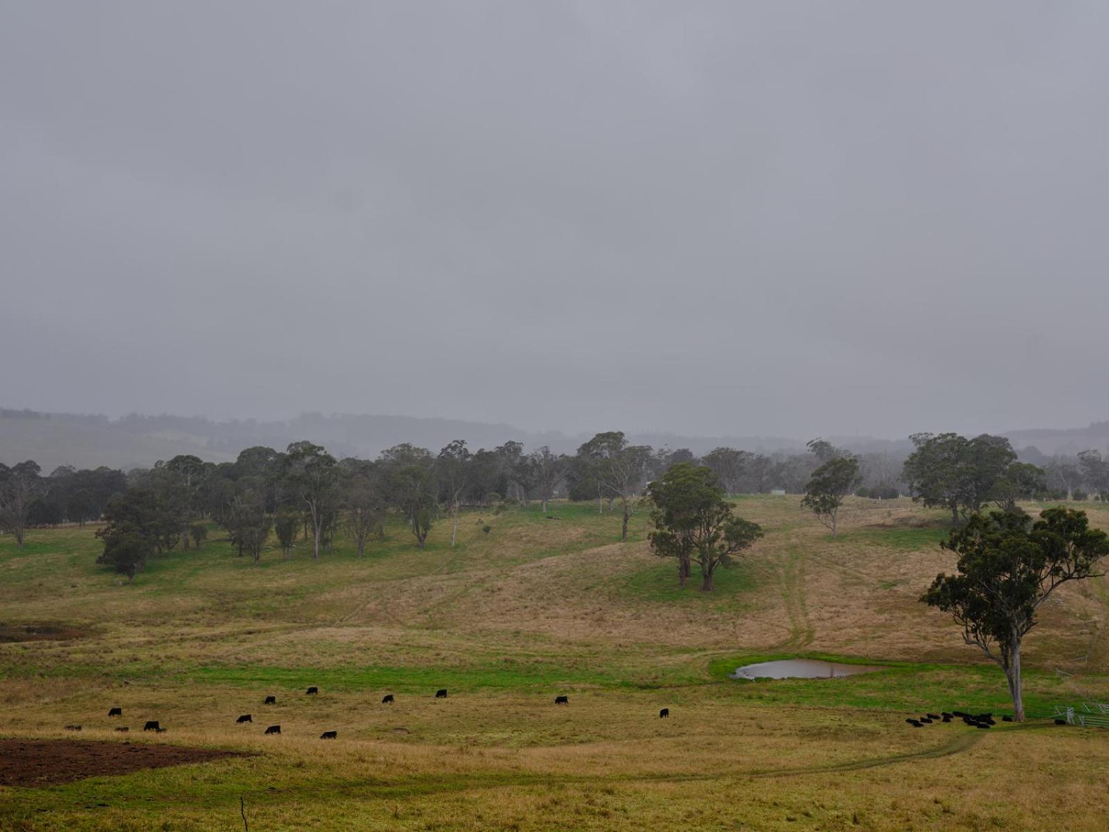 Hotel Bendooley Estate Berrima Exteriér fotografie