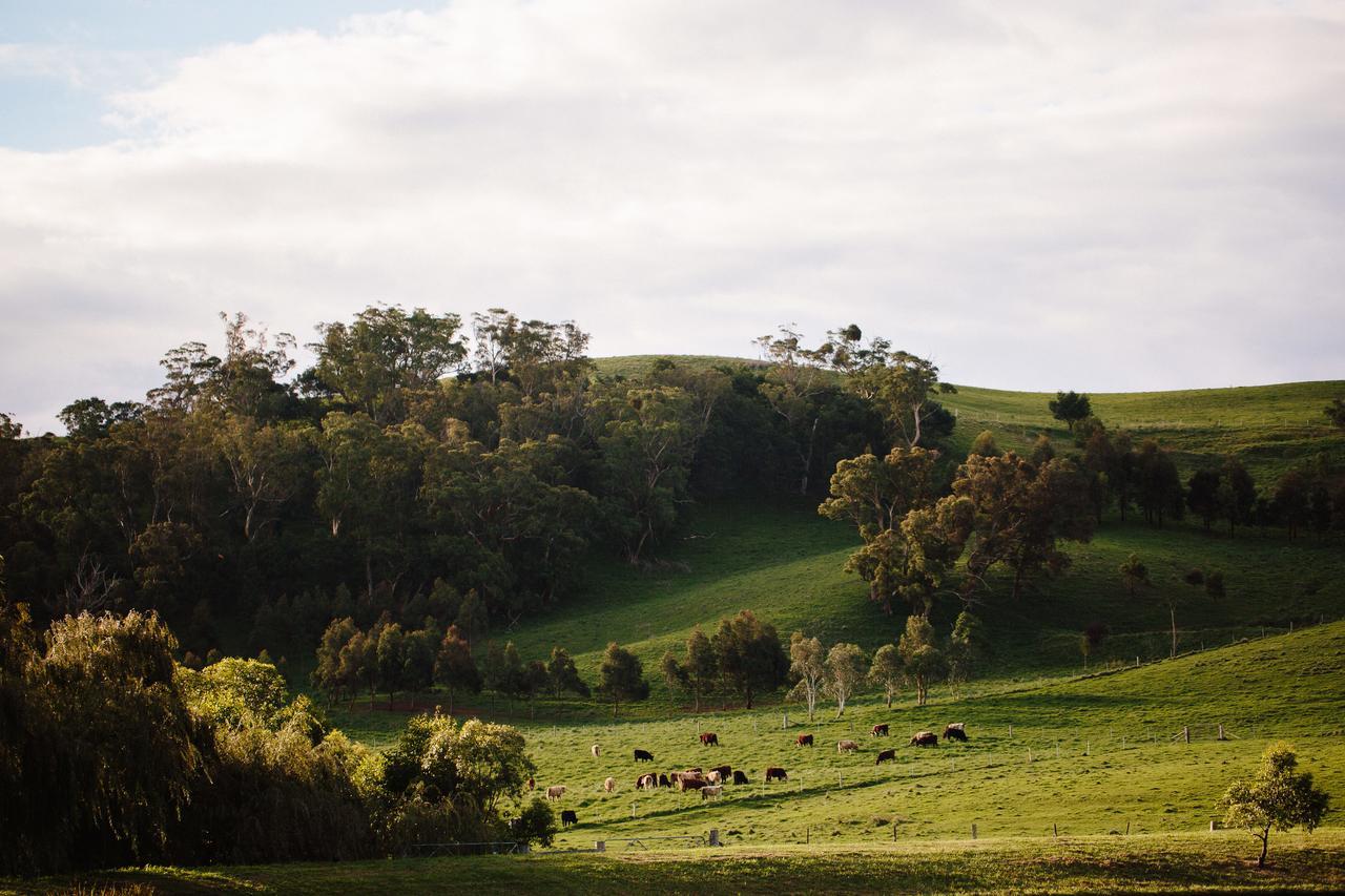 Hotel Bendooley Estate Berrima Exteriér fotografie